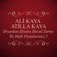 Diyardan Diyara Davul Zurna İle Halk Oyunlarımız, Vol. 1 Albumcover