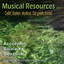 Musical Sources Part 2 Albumcover