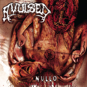 Nullo (The Pleasure of Self-Mutilation) cover