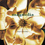 Magnolia cover