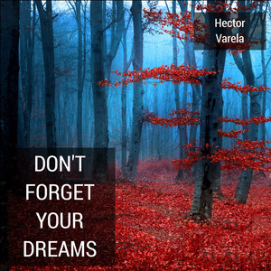 Don'T Forget Your Dreams album