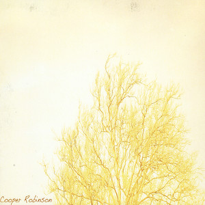 Cooper Robinson