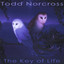 The Key of Life Albumcover