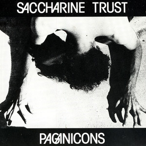 Paganicons cover