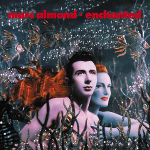 Enchanted album