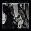 The Girl Who Cried Wolf cover