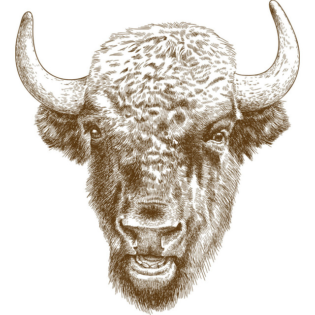 Free Range Buffalo | Podcast on Spotify