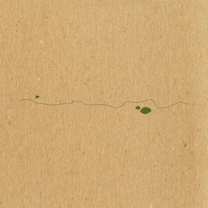 Shoals cover