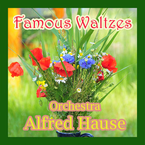 Alfred Hause & His Orchestra