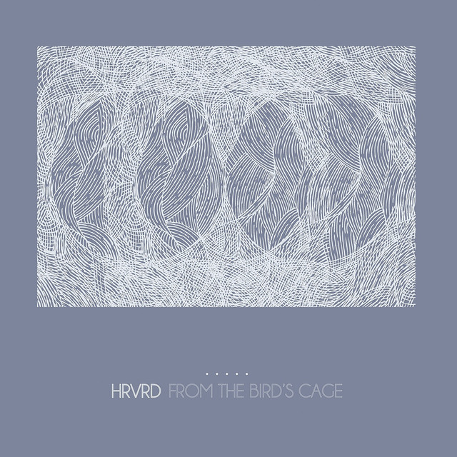 From The Bird's Cage cover