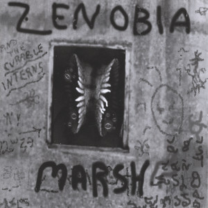 The Curable Interns Play... Zenobia Marsh Sings... Albumcover