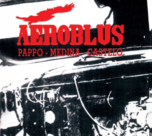 Aeroblus Photo