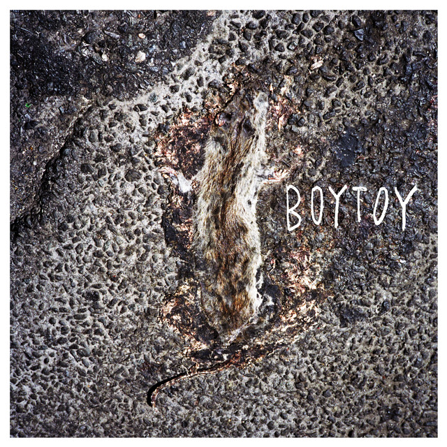 Boytoy cover