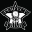 The Perfect Crime