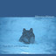 The Wolf and the River Albumcover