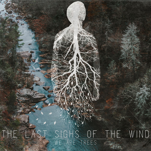 The Last Sighs of the Wind Photo