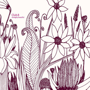 Strangely Beautiful album