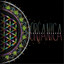Organica Albumcover