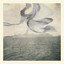 A Small Murmuration cover