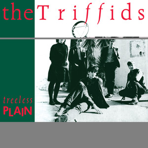Treeless Plain cover