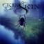 Kinskin Albumcover