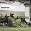 Penguin Rock cover
