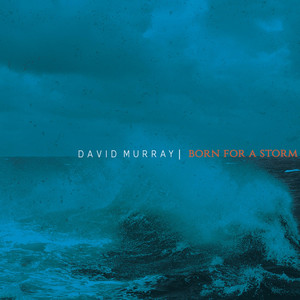 Born for a Storm cover