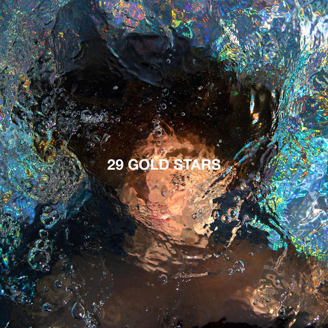 29 Gold Stars cover