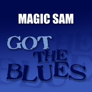Got the Blues album
