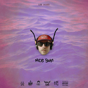 Nice Swan cover