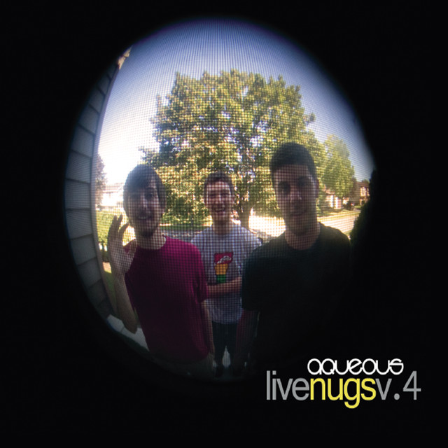 Live Nugs V.4 cover