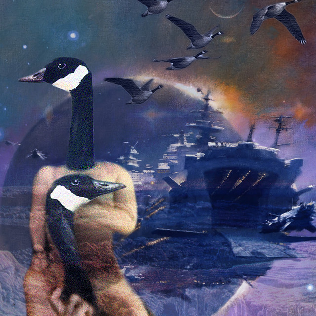 Loose Goose photo