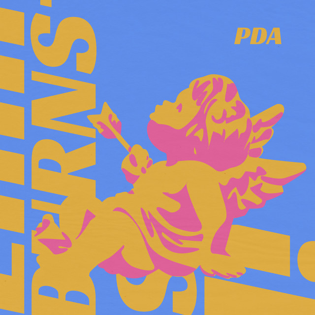 Pda cover