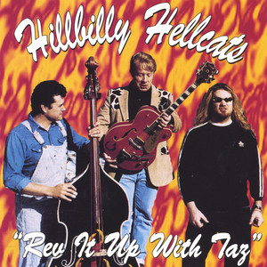 Hillbillies on Speed cover