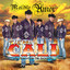 Maldito Amor cover