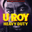 Heavy Duty cover