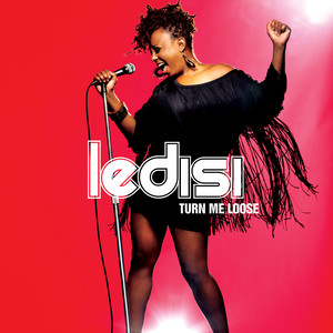 Turn Me Loose cover