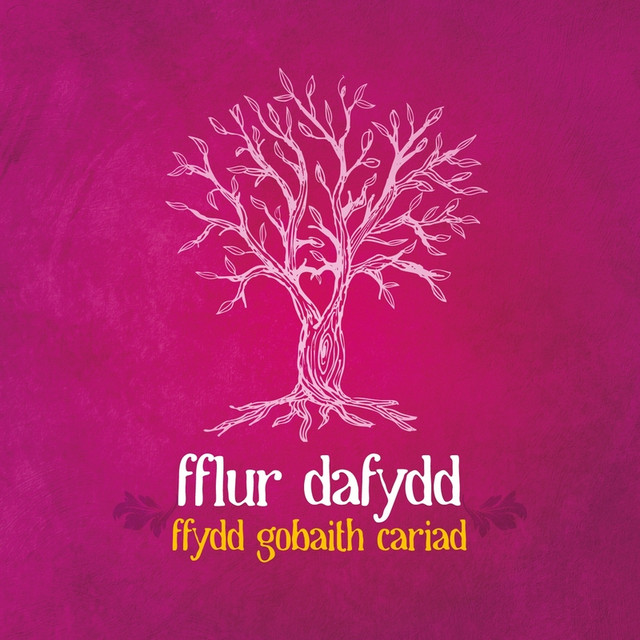 Fflur Dafydd Photo