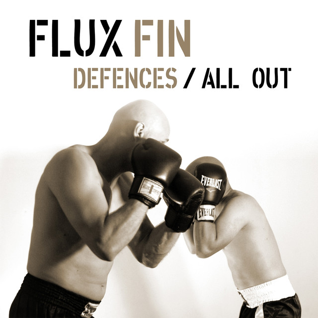 Flux Fin Photo