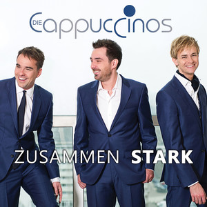 Zusammen stark cover