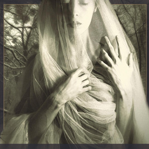 The Veil of Queen Mab cover