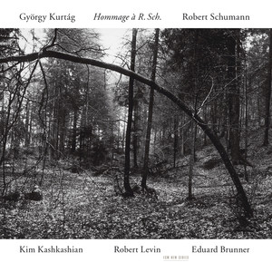 Hommage a R. Sch. cover