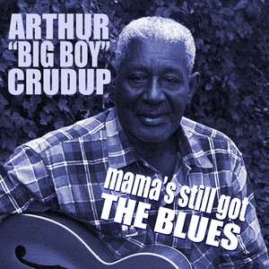 Mama's Still Got The Blues album