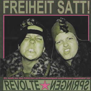 Die Demokratie bin ich ! cover