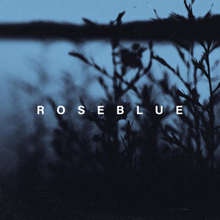 Roseblue Photo