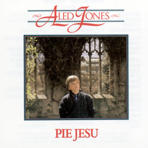 Pie Jesu cover