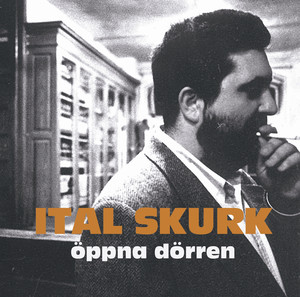 Öppna dörren cover
