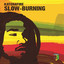 Slow-Burning cover