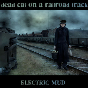 Dead Cat on a Railroad Track cover
