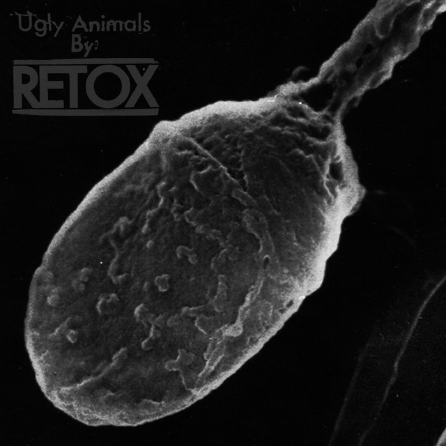 Ugly Animals cover